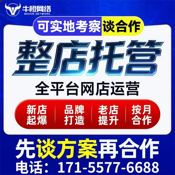 晋中电商代运营